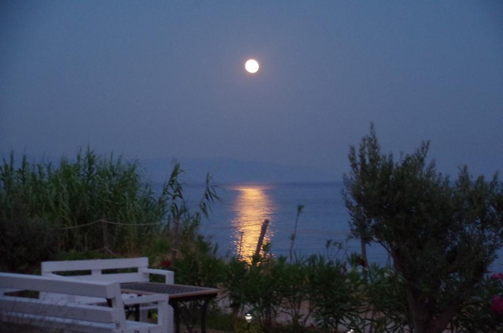 La Mer Seaside Apartments Δρυός Εξωτερικό φωτογραφία